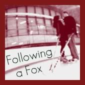 Following a Fox