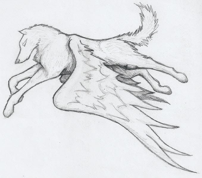 Flying Wolf