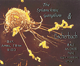 image002-2.png image by rhythmtoad