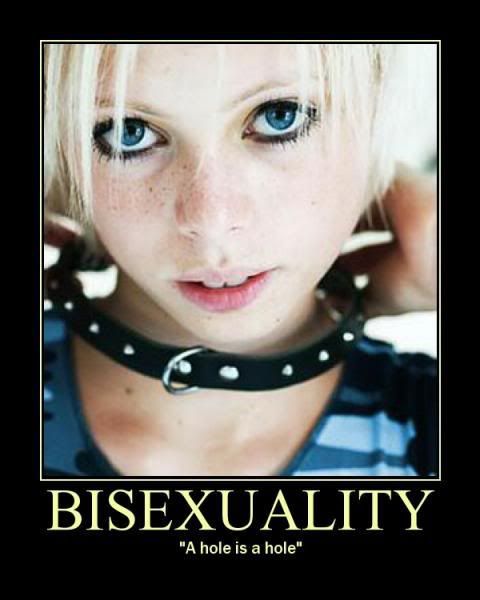 bisexuality-motivational-poster.thumbnail.jpg