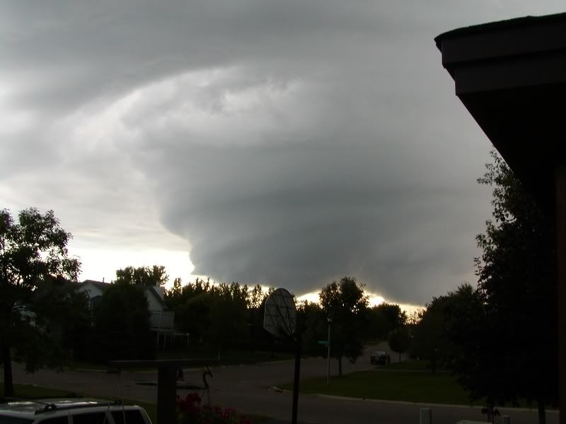 meso.jpg