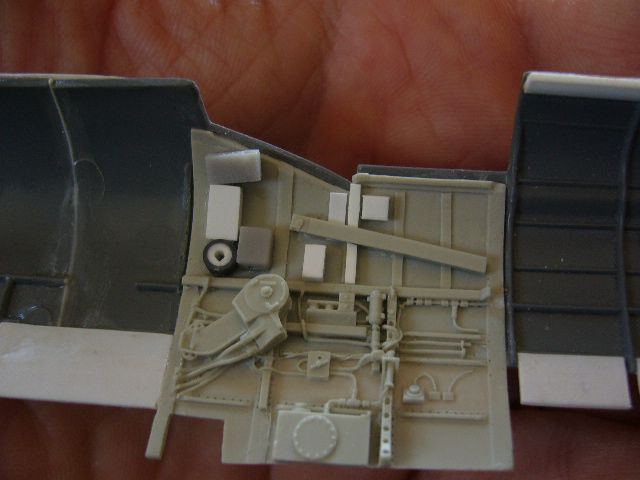 P1070437.jpg