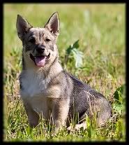 ~ 3 kk | 3 months © Halla Seppälä