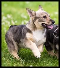 ~ 3 kk | 3 months © Halla Seppälä