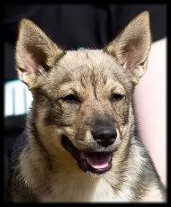 ~ 3 kk | 3 months © Halla Seppälä