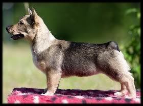 ~ 3 kk | 3 months © Halla Seppälä