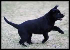 7 vk | 7 weeks © Anna-Leena Väätänen