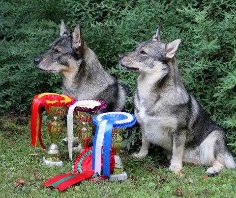 Viivi & Viva © Henttonen