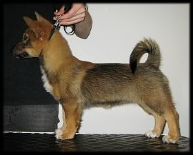 3 kk | 3 months © Henttonen