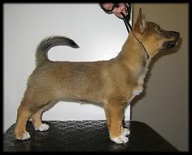 9 vk | 9 weeks © Henttonen