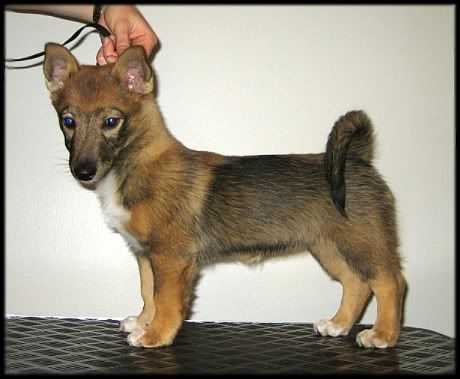 3 kk | 3 months © Henttonen