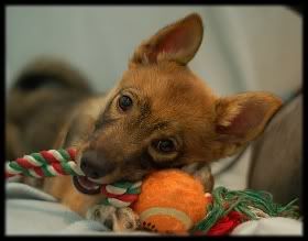 8 vk | 8 weeks © Leena Inkilä