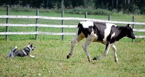 Unto © Antti Heinonen