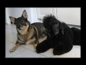 Viivi & Enya © Henttonen