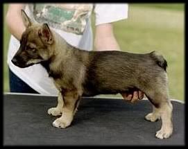 12 vk | 12 weeks © Inga Kahlman