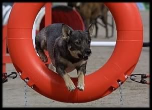 3 v | 3 years © Jari Nevalainen