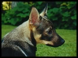 5 kk | 5 months © Henttonen