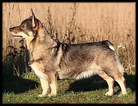 6 v | 6 years © Anna-Leena Väätänen