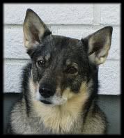 9 v | 9 years © Henttonen