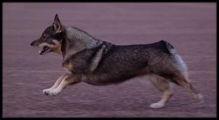 9 v | 9 years © Leena Inkilä