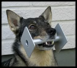 9 v | 9 years © Henttonen