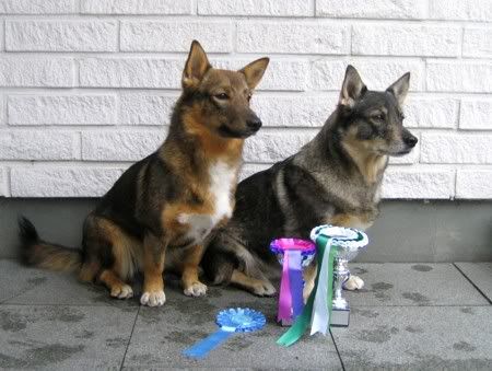 Terra & Viivi © Henttonen