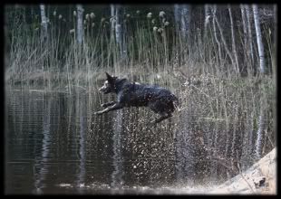 3 v | 3 years © Anna-Leena Väätänen