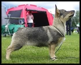 4 kk | 4 months © Henttonen