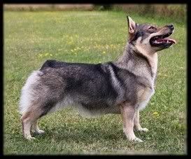 ~ 2 v | 2 years © Henttonen