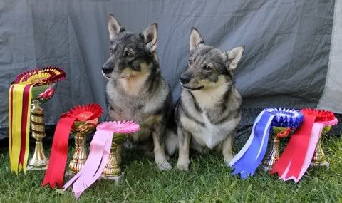 Viivi & Viva © Henttonen