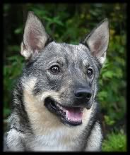 ~ 1,5 v | 1,5 years © Kirsi Hotanen