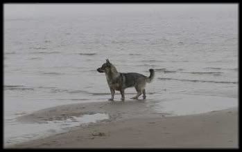 1 v | 1 year © Björn Gröndahl