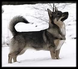 ~ 8 kk | 8 months © Björn Gröndahl