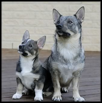Wilma tyttärensä Idan kanssa | Wilma with her daughter Ida (Maiskis Limonia) © Björn Gröndahl