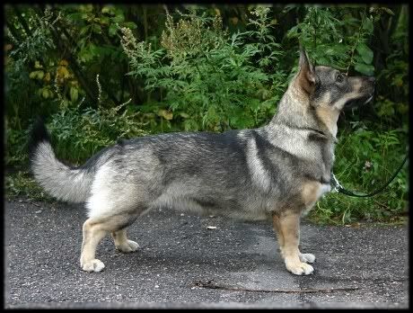 Wilma 2008 © Kirsi Hotanen