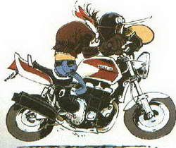 http://i141.photobucket.com/albums/r46/Motorbiker_photos/NewsPics/oldNewsPics2/Joe-Bar-Team-1.jpg
