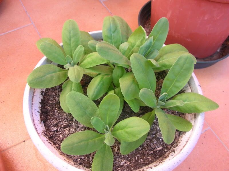 DSCN1863.jpg