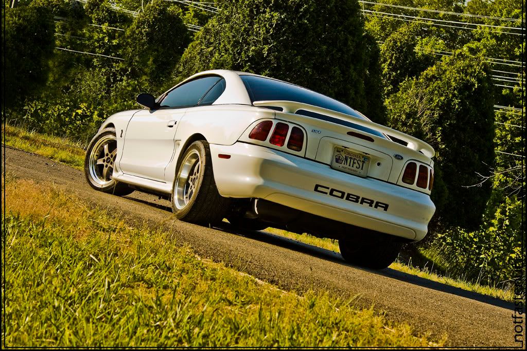 IMAGE: http://i141.photobucket.com/albums/r47/notfastenuf/Cobra/wolfe_0746a.jpg