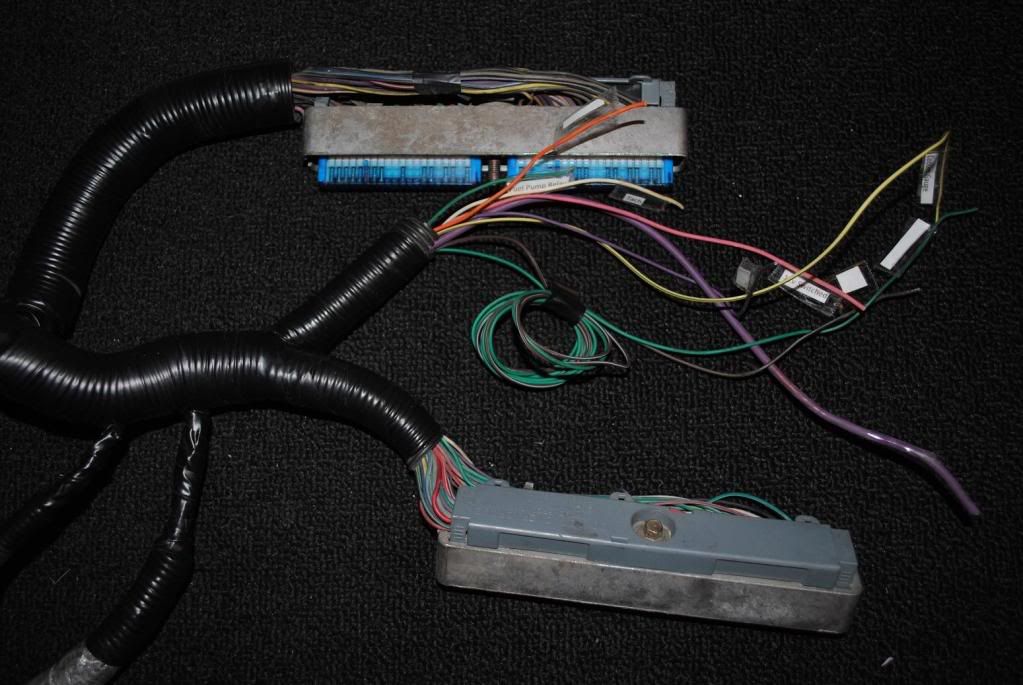 LSX Wiring Harness Solutions