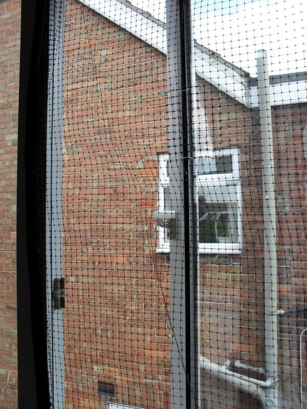 Home Made Window Screen UK Pet Forums Forum
