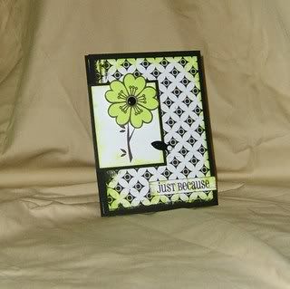 scpaperie,etsy,ctmh,cards,flowers,handmade,black,white,green