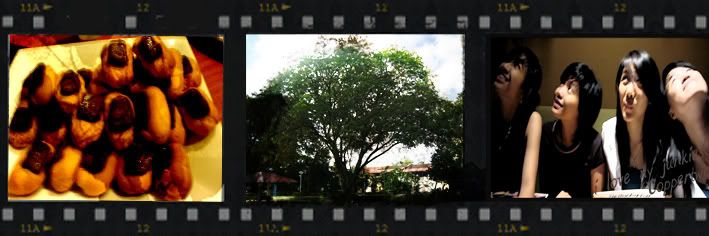 Photo Sharing and Video Hosting at Photobucket