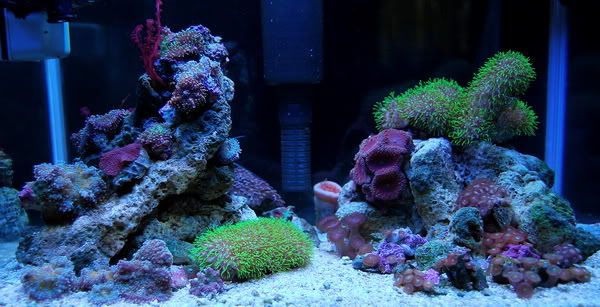 FTS08February2011.jpg