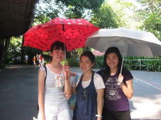 colourful umbrellas