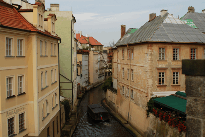 photo celinelai_1.gif