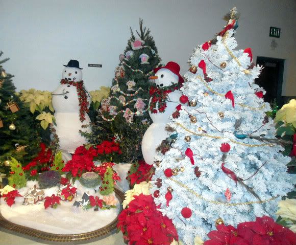 DSC00360