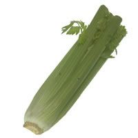 celery Pictures, Images and Photos