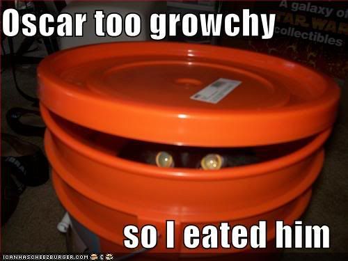 funny-pictures-cat-bucket-oscar-gro.jpg