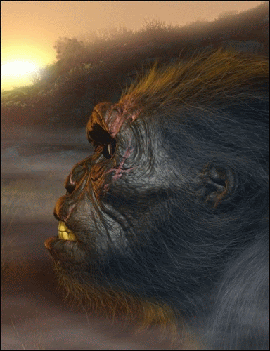 neanderprofile, hairy ape with fur