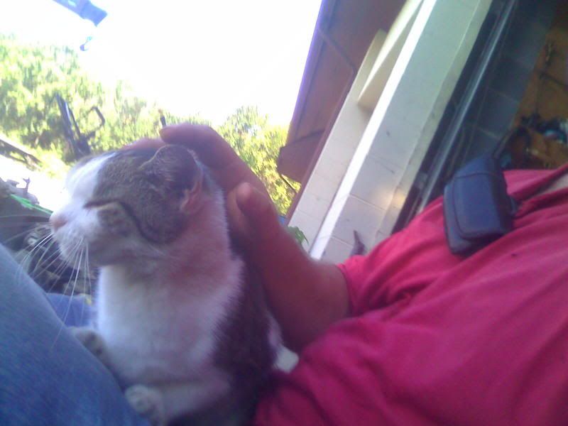 http://i141.photobucket.com/albums/r53/icebear46/dillon3.jpg
